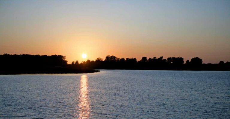 Ein Sonnenuntergang über einer Baumreihe an der Müritz.