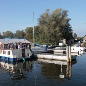 Eine Kormoran an einem Kleinen Anleger in Vipperow.