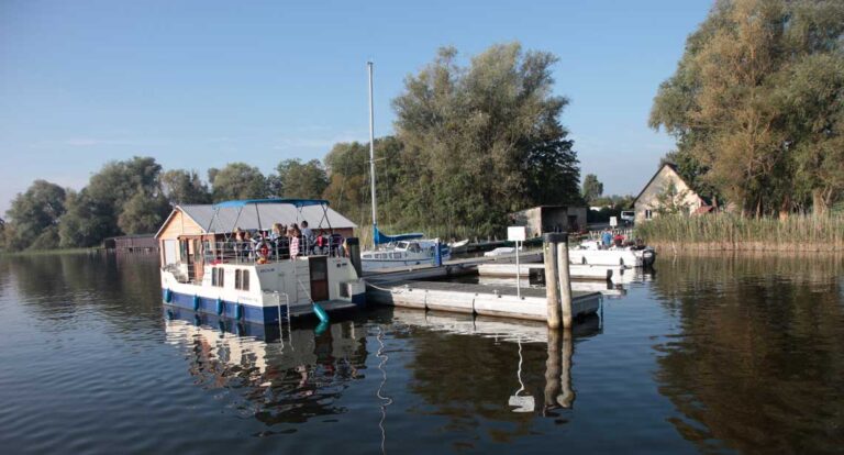 Eine Kormoran an einem Kleinen Anleger in Vipperow.