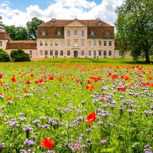 Eine Blumenwiese vor dem Kummerower Schloss.