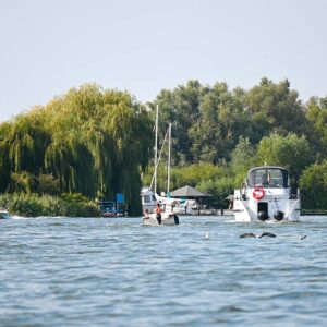 Einige Boote bei der Einfahrt zum Anlegerin Aalbude.