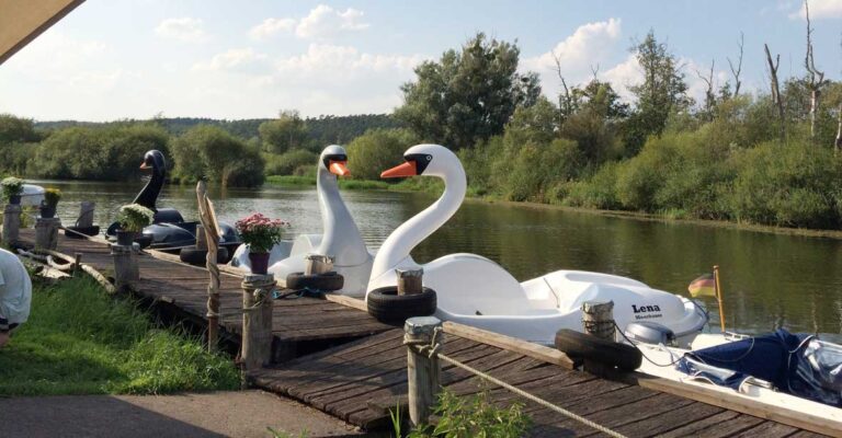 Drei Schwanen Tretboote beim Moorbauer am Peenestrom.