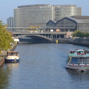 Kormoran am Ufer der Spree