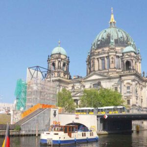 Kormoran am Berliner Dom