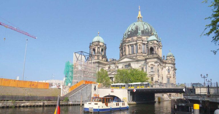 Kormoran am Berliner Dom