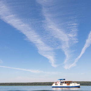 Sicht in den Himmel mit Kormoran