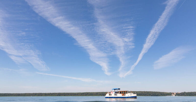 Sicht in den Himmel mit Kormoran