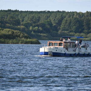 Eine Kormoran auf der Müritz vor einem bewaldeten Ufer.