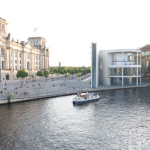 Kormoran in Berlin am Bundestag