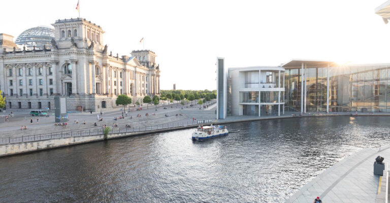 Kormoran in Berlin am Bundestag