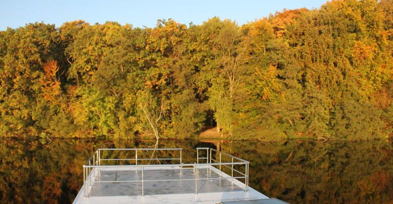 Blick auf die Dachterrasse vor einem herbstlichen Wald