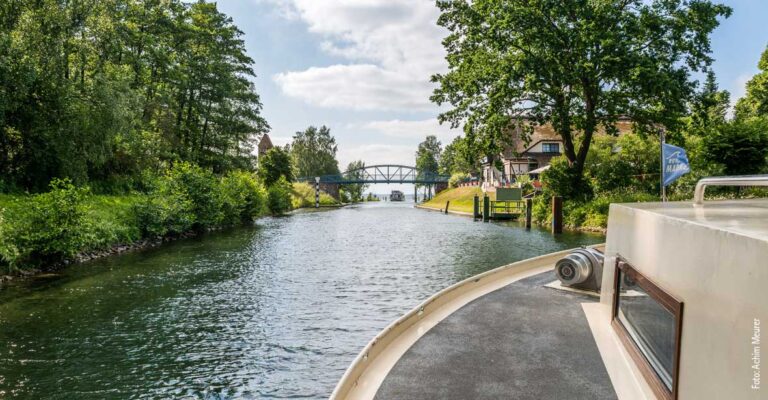 Eine Kormoran auf einem Fluss. Man sieht ein Fachwerkhaus hinter einem Baum sowie eine brücke weiter Flussabwärts.