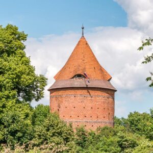 Ein Turm der zwischen Bäumen hervorschaut.