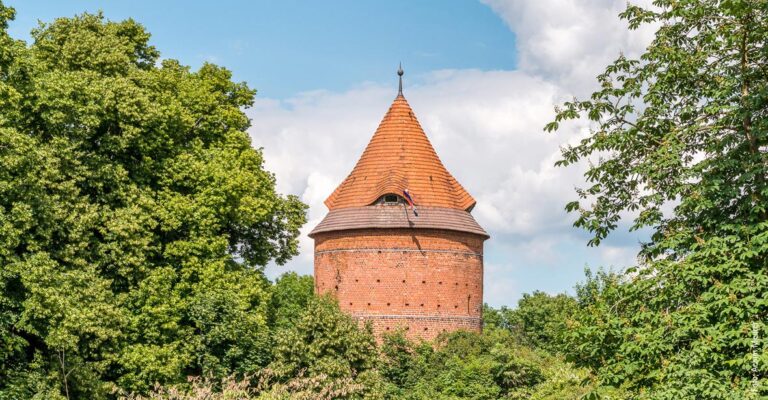 Ein Turm der zwischen Bäumen hervorschaut.