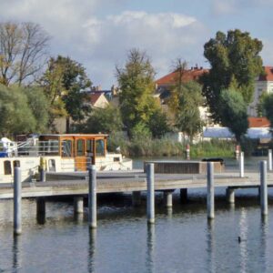 Kormoran in einem Hafen