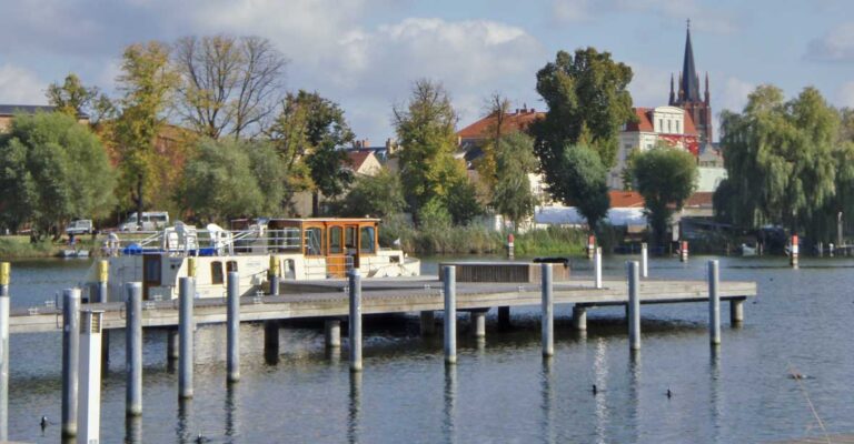 Kormoran in einem Hafen