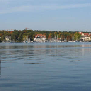 Blick auf einen See mit Kormoran