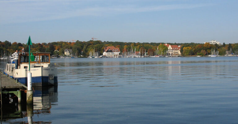 Blick auf einen See mit Kormoran