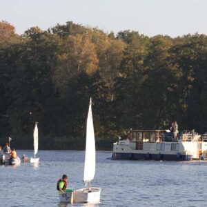 Einige kleine Segelboote vor einer Kormoran in Senzig.