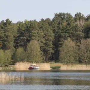 Boot mit Wald im Hintergrund