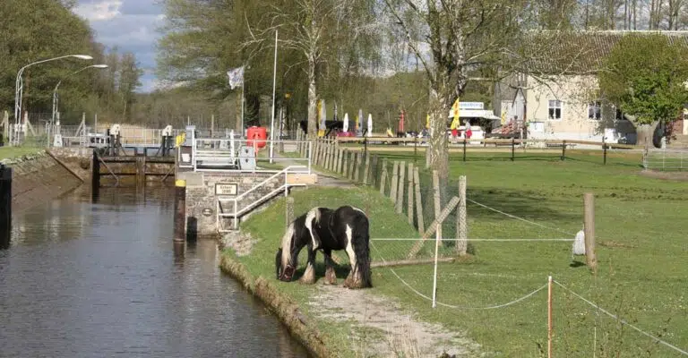 ein Pferd grast auf einer Wiese, im Hintergrund die Schleuse Kannenburg
