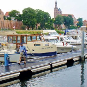 Eine Kormoran am Anleger in Tangermünde an der Elbe