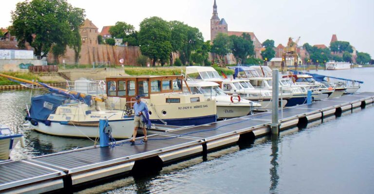 Eine Kormoran am Anleger in Tangermünde an der Elbe