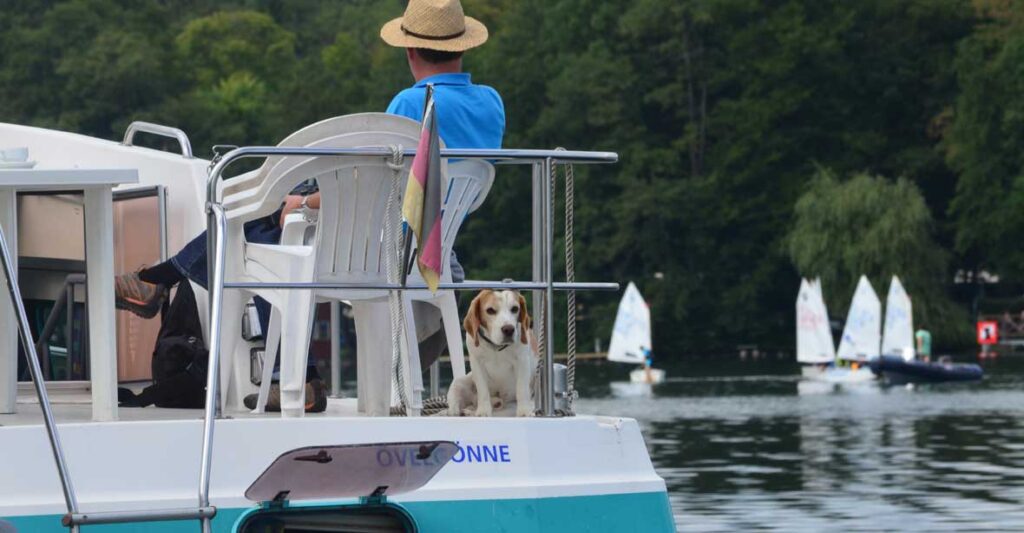 Ein Hund auf dem Heck einer Vetus